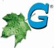 GaglianoVite05_11 logo Big Glass GaglianoVite05_11 logo Big Glass