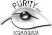 logo purity logo purity